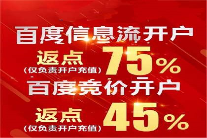 某知名品牌SEM广告投放的创意与执行